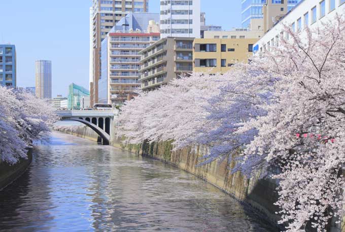 目黒川