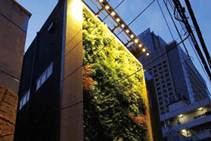 TOKYOの壁面緑化
